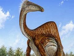 Image result for Weirdest Dinosaurs