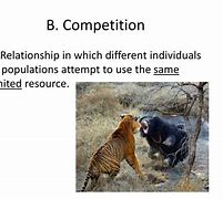 Image result for Species Interaction Diagram