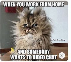 Image result for Working From Home Meme Sloth