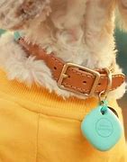 Image result for Galaxy Air Bud 2