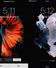 Image result for iPhone 6s Plus Live Wallpaper