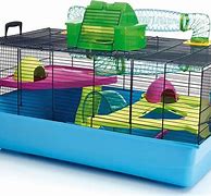 Image result for Mice in Cage