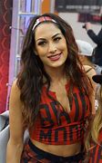 Image result for Who Is Nikki Bella