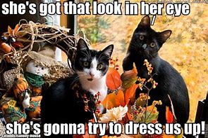 Image result for Autumn Happy Cat Meme