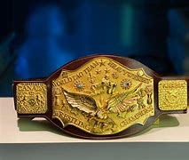 Image result for NWA US Belt