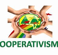 Image result for cooperativismo