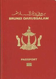 Image result for Saudi Arabia Passport