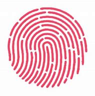 Image result for Configure Touch ID in iPhone 7