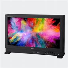 Image result for Sony BVM Monitor