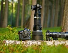 Image result for Nikon Camera for Wildlife Photography