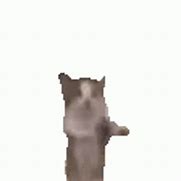 Image result for Yipee Cat Dancing Meme