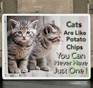 Image result for Cute Cat Signs