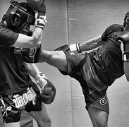 Image result for MMA Sparring