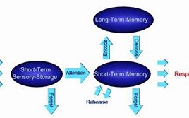 Image result for Standard Theory in Memory