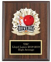 Image result for Engraved Bowling Plaques