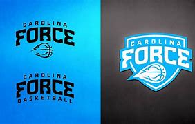 Image result for Basketball Team Logo Ideas