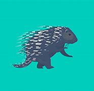 Image result for Porcupine and Hedgehog
