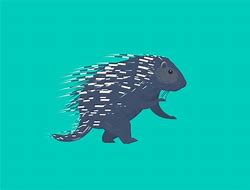 Image result for African Porcupine