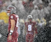 Image result for WSU Apple Cup