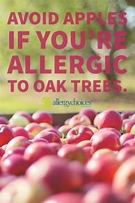 Image result for Raw Apple Allergy