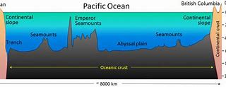 Image result for Pacific Ocean Sea Floor