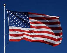 Image result for TVP American Flag