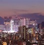 Image result for Tokyo Skyline Hoodie