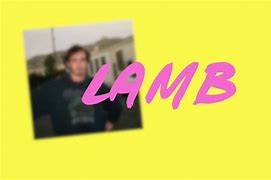 Image result for Lamb Brockhampton