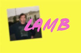 Image result for Lamb Brockhampton