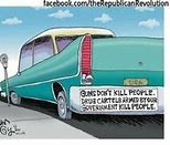 Image result for Gun Laws Cartoon