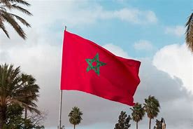 Image result for Morocco Flag