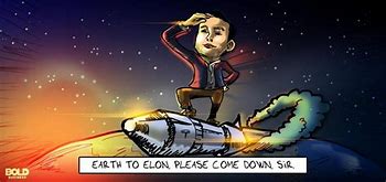 Image result for Elon Musk Cartoon