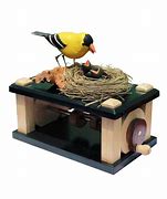 Image result for Bird Automaton