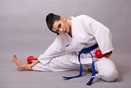 Image result for Best Martial Arts to Learn at Home