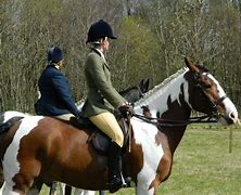 Image result for Best Horse Racers