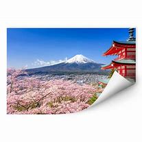 Image result for Fuji Print Sample