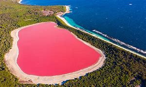 Image result for Lake Tikal