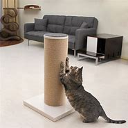 Image result for Extra Large Cat Scratcher