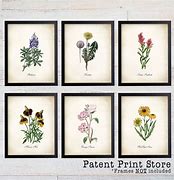 Image result for Print of Texas Wildflowers
