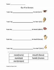 Image result for Five Senses Spanish Worksheets