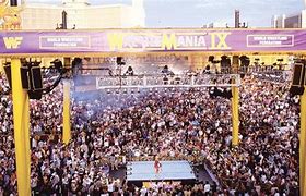 Image result for WWE Wrestlemania 9