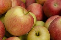 Image result for Best Cooking Apple's