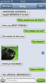 Image result for Dog Texting Memes
