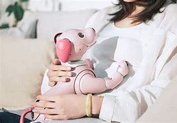 Image result for Strawberry Aibo Dog
