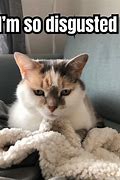 Image result for Little Girl Disgusted Meme