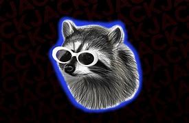 Image result for Raccoon Eggs Memes