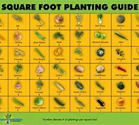 Image result for 10 Square Feet