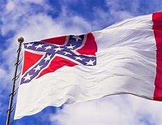 Image result for Rainbow Confederate Flag