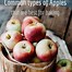 Image result for Apple Variety List