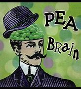 Image result for Pea Brain. People